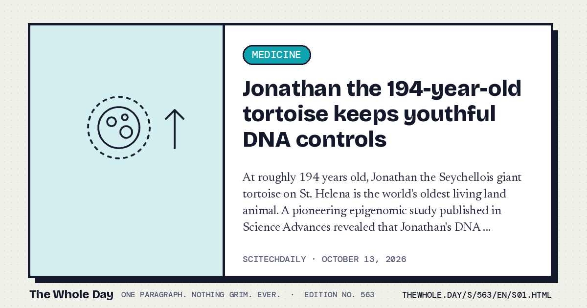 A story card from The Whole Day: Jonathan the 194-year-old tortoise keeps youthful DNA controls